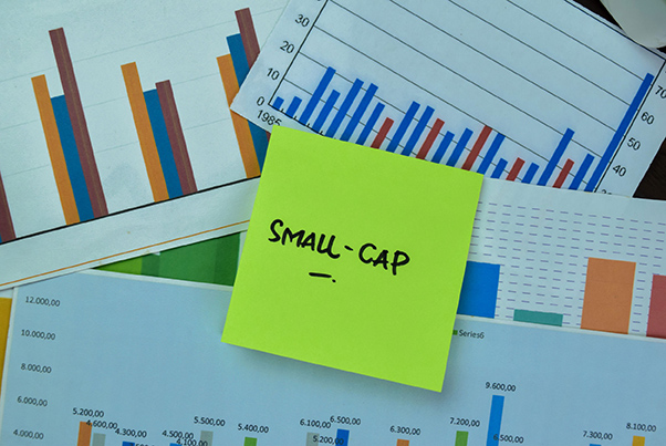 Tata Midcap Fund