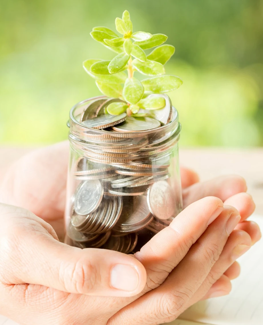 Stacks of coins with a young plant growing from them