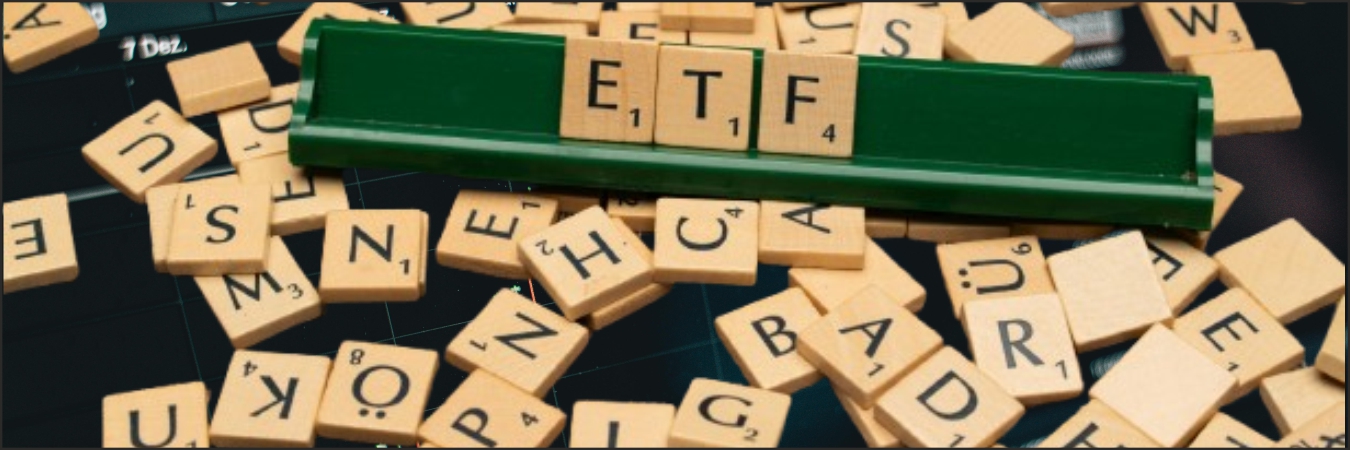 Tata Midcap Fund