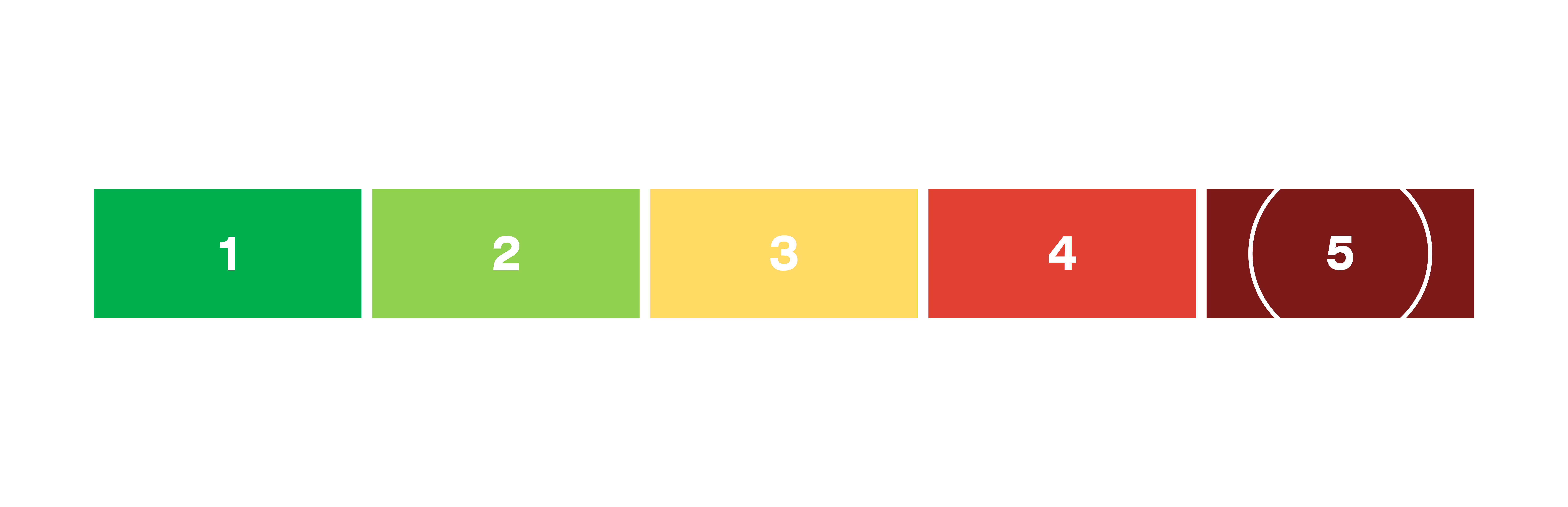 Risk Band Level 5