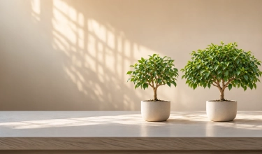 https://www.tatamutualfund.com/system/files/2026-10/%E2%82%B95%20Lakh%20Lumpsum%20in%20Equity%20Mutual%20Funds%2010%20and%2015%20Year%20Scenarios.webp